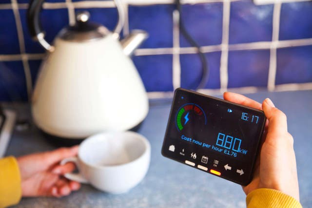 <p>Several energy suppliers are running schemes aimed at incentivising customers to cut their energy usage at peak times (Alamy/PA)</p>