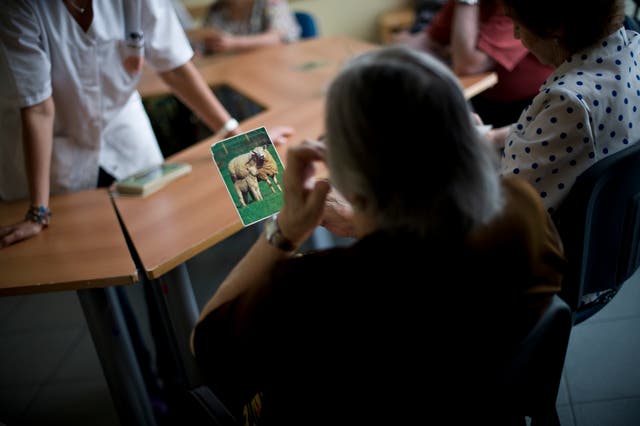 <p>An elderly woman holds a picture of a sheep as she try to remenber the name of the animal </p>