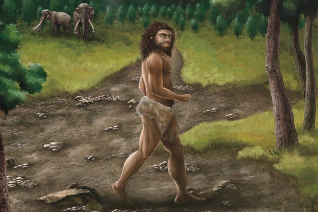 <p>This illustration provided by researchers in April 2025 depicts a Denisovan male in Taiwan in the Pleistocene era about 2.6 million to 11,700 years ago. (Cheng-Han Sun via AP)</p>