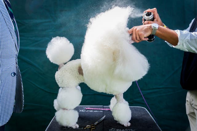 <p>Pictures of the Week-Global-Photo Gallery</p>