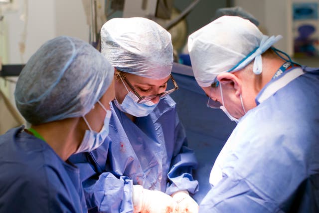 <p>Surgeons Isabel Quiroga (centre) and Professor Richard Smith</p>